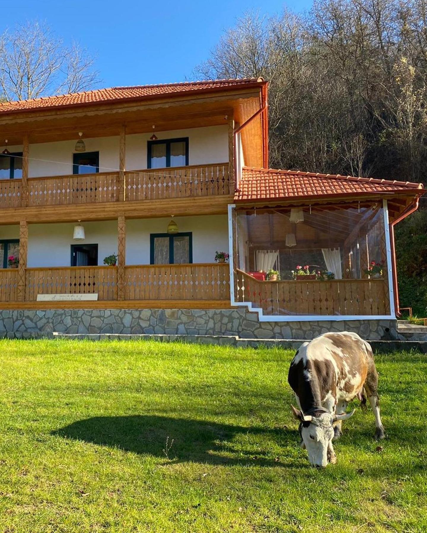 Casa Lila Bed & Breakfast Colti Eksteriør bilde